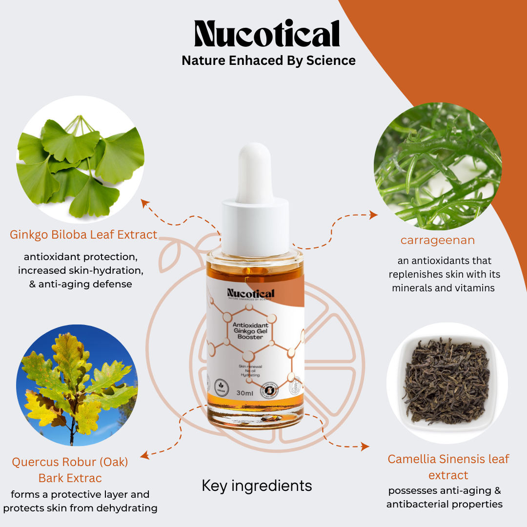 Nucotical Antioxidant Ginkgo Gel Booster