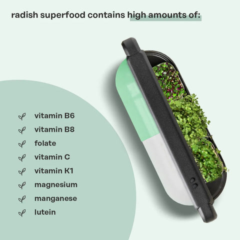 Magnesium & Folate Booster (Radish Mix) Superfood